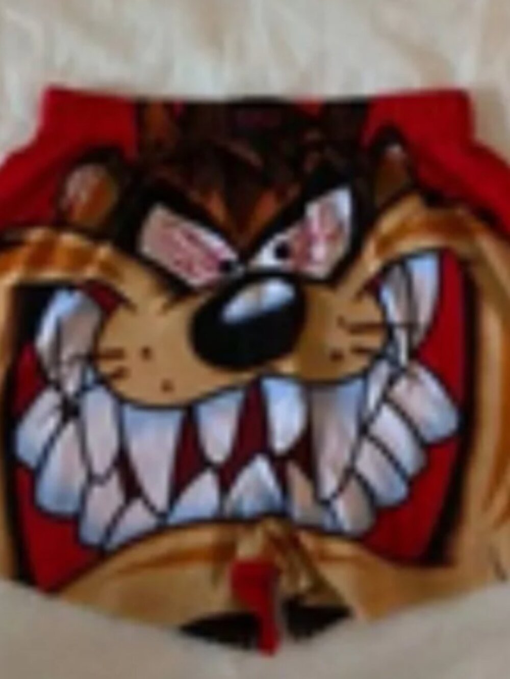 Boxer shorts Tasmanian Devil mens new  size S (28-30") cotton Briefly Stated
